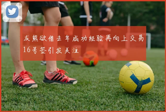 灰熊欲借去年成功经验再向上交易16号签引发关注